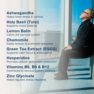 Be Chill ingredient benefits graphic with man relaxing by a window